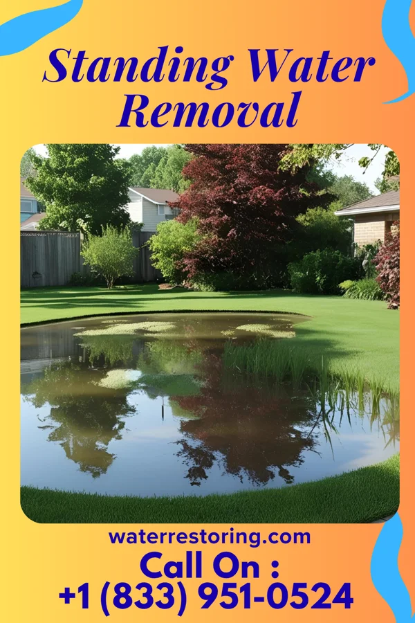 Standing Water Removal in Barneston, NE